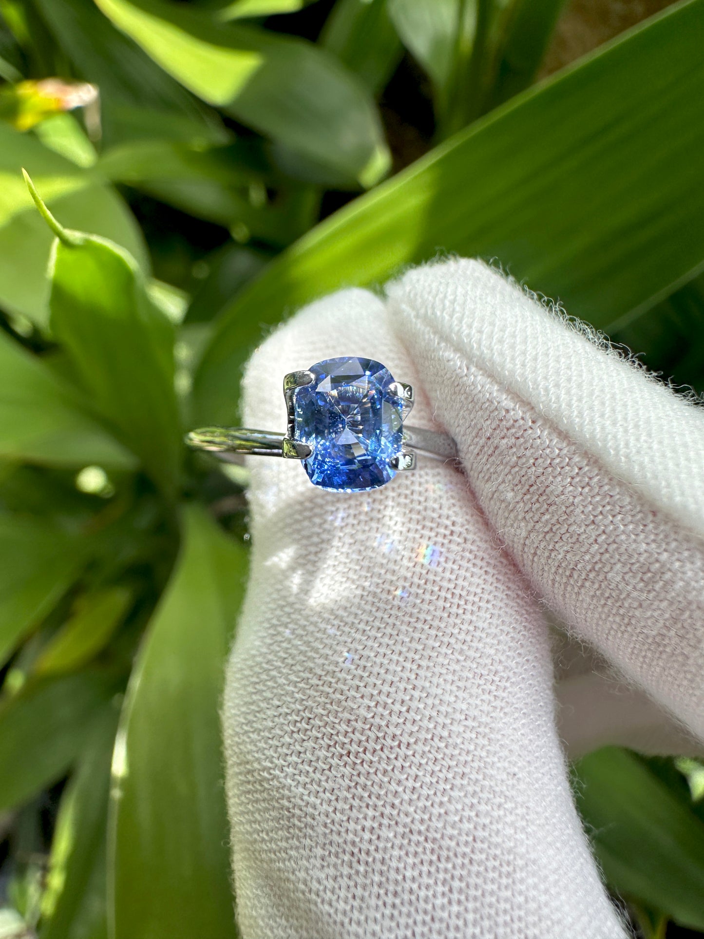Natural Cornflower Sapphire | 1.17 Carats