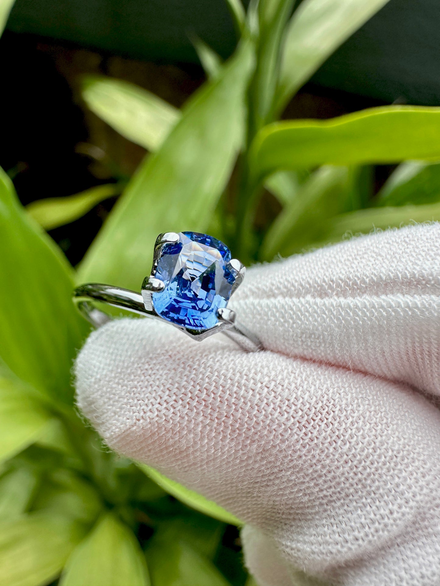 Natural Cornflower Sapphire | 1.17 Carats