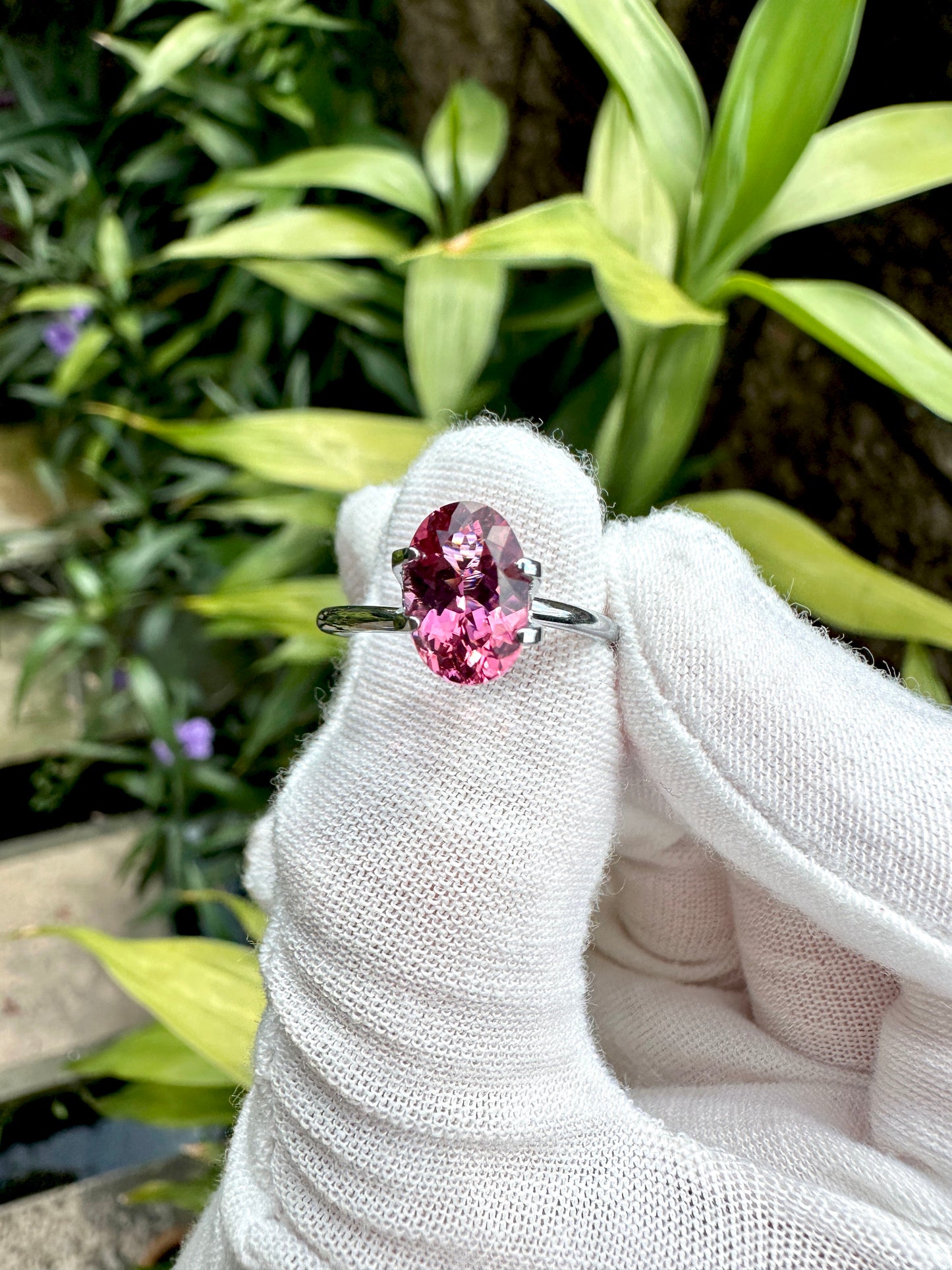 Natural Pink Tourmaline | 1.69 Carats