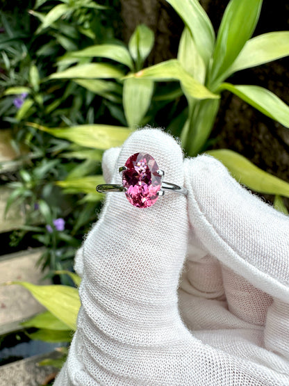 Natural Pink Tourmaline | 1.69 Carats
