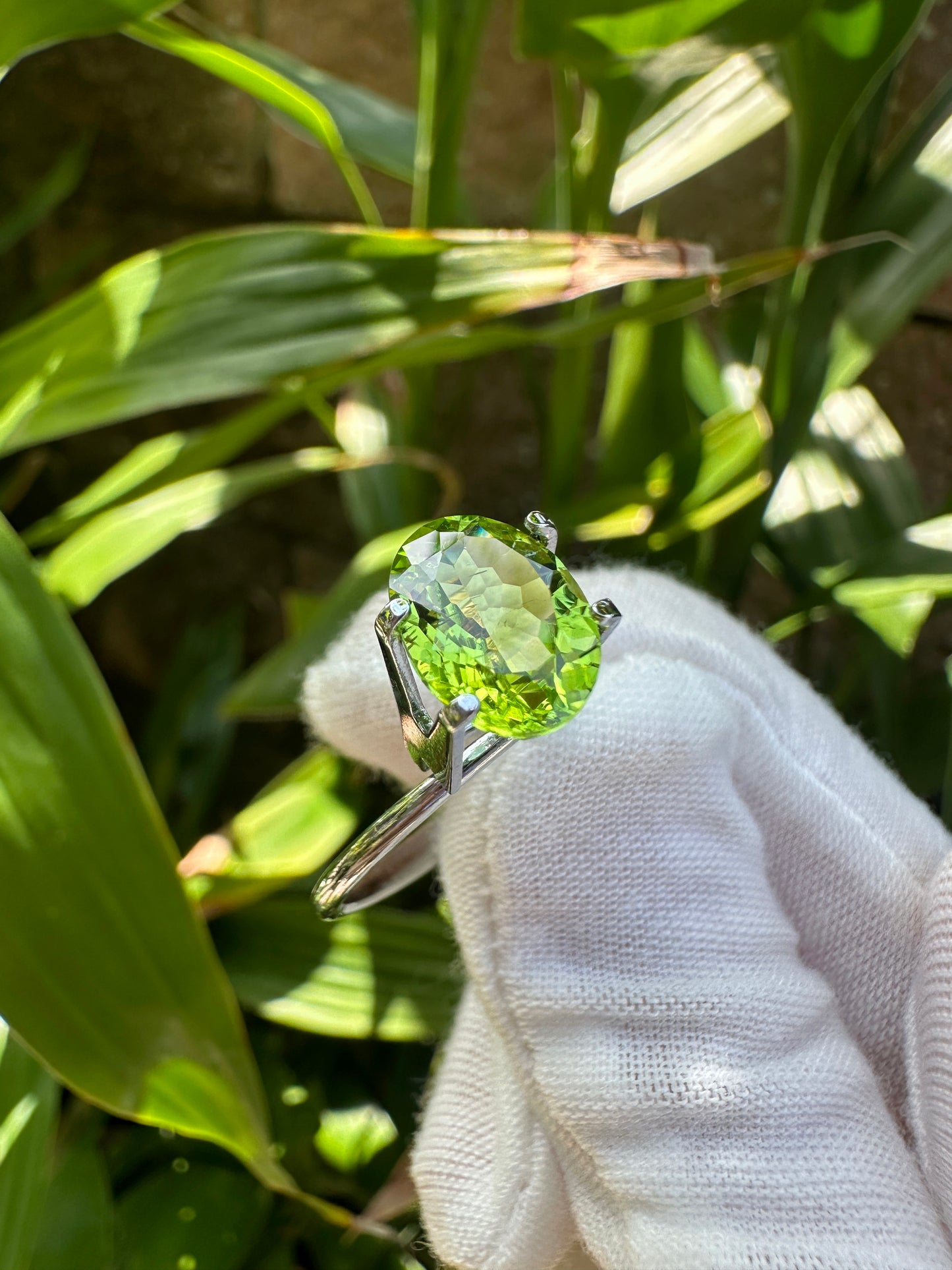 Natural Peridot｜2.66 Carats