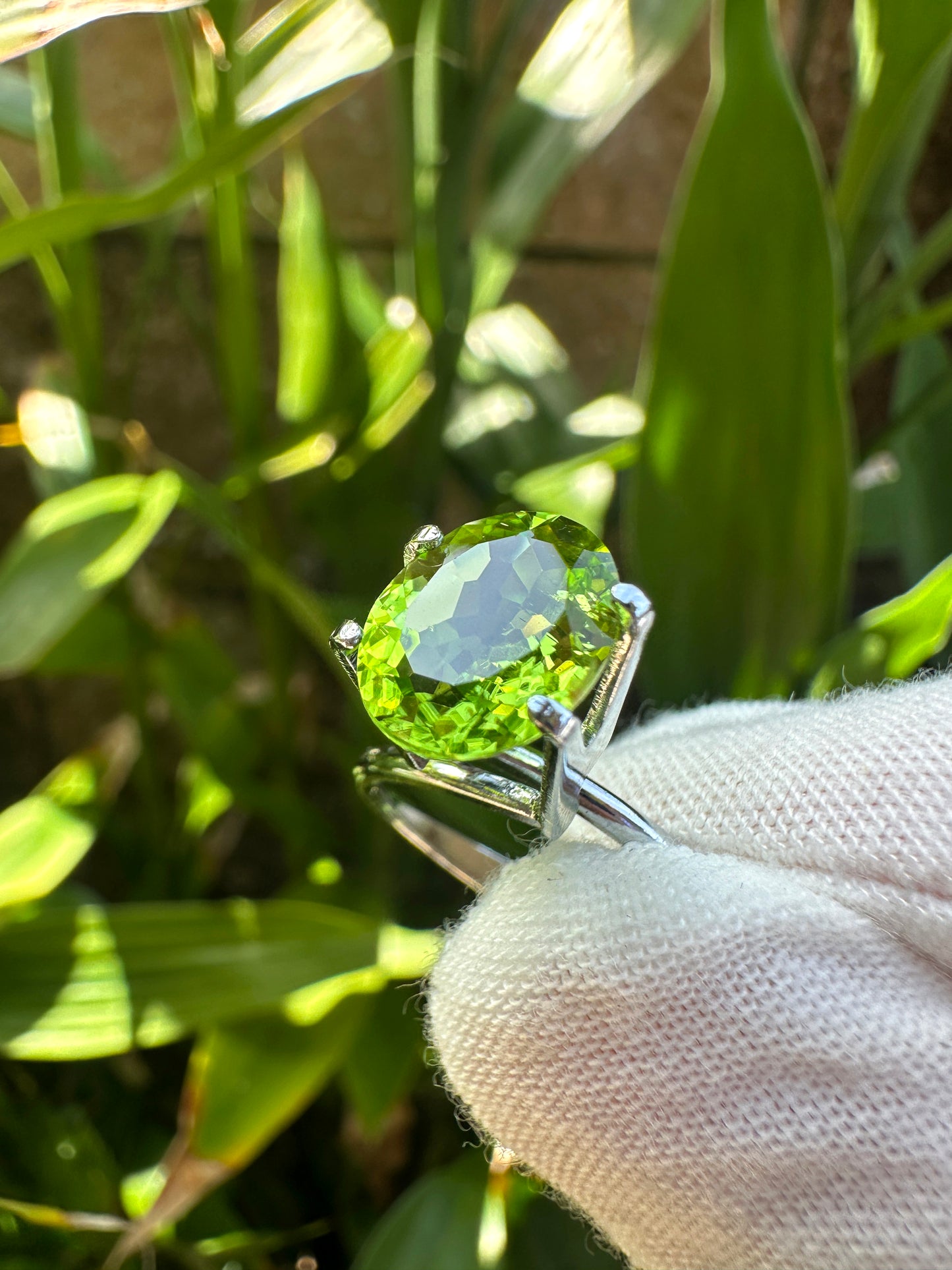 Natural Peridot｜2.66 Carats