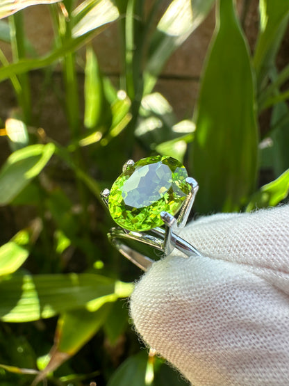 Natural Peridot｜2.66 Carats
