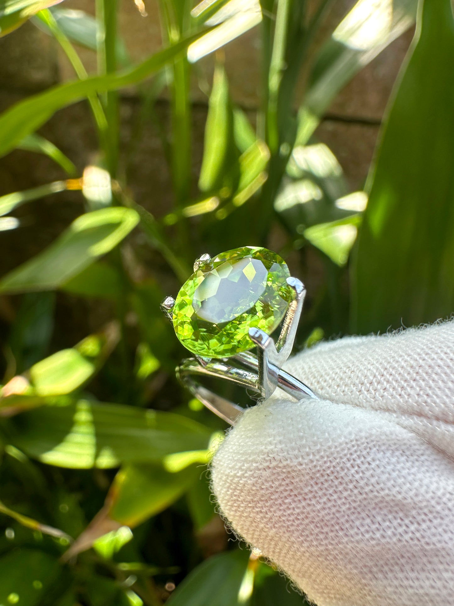 Natural Peridot｜2.66 Carats